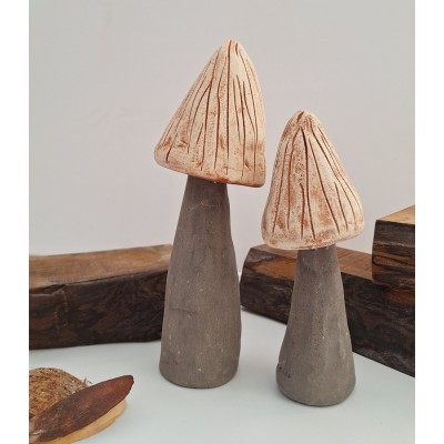 Διακοσμητικά μανιτάρια (1)
