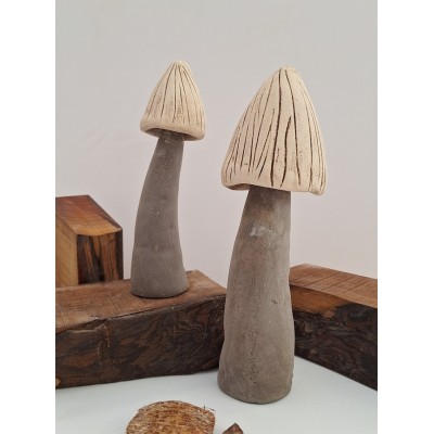 Διακοσμητικά μανιτάρια (2)