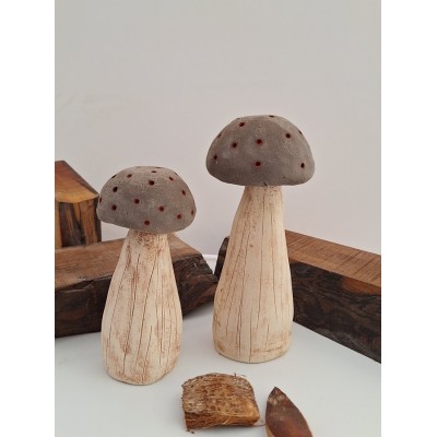 Διακοσμητικά μανιτάρια (3)