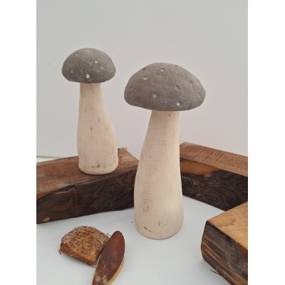 Διακοσμητικά μανιτάρια (4)